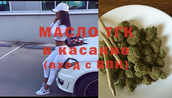 гидра Корсаков