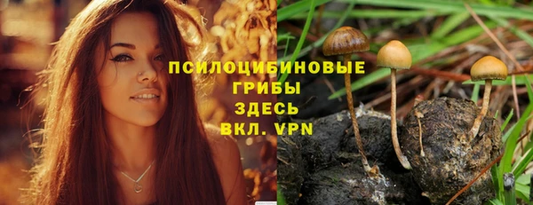 spice Кулебаки