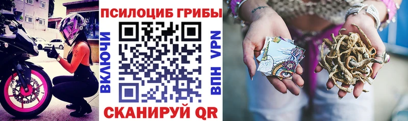 Псилоцибиновые грибы мухоморы  что такое наркотик  Бугуруслан 